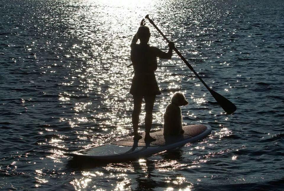 Little Hawk Resort & Marina Algonquin Highlands Εξωτερικό φωτογραφία